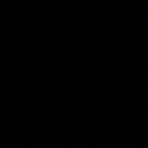 Meet your Posher, Leander